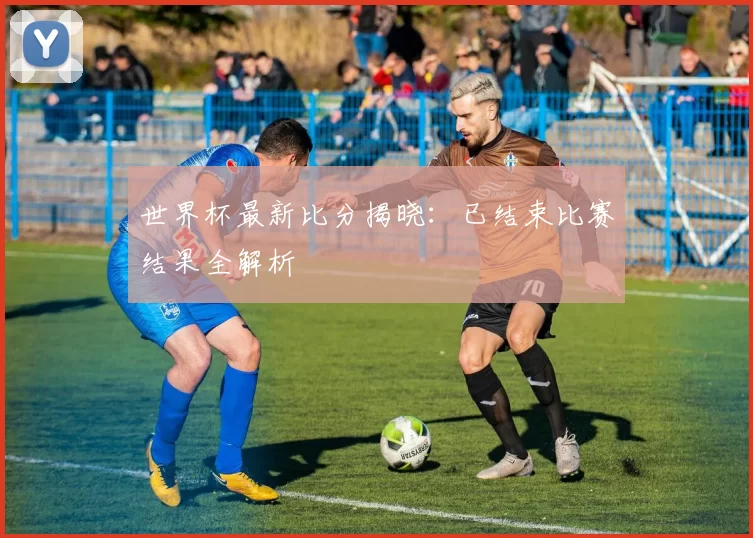 世界杯最新比分揭晓:已结束比赛结果全解析