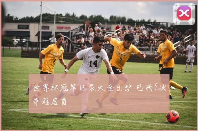 世界杯冠军记录大全出炉 巴西5次夺冠居首