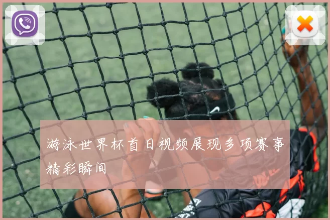 游泳世界杯首日视频展现多项赛事精彩瞬间