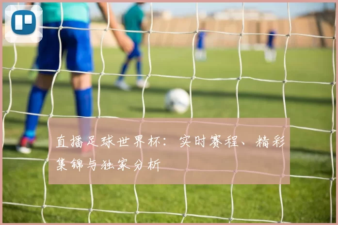 直播足球世界杯：实时赛程、精彩集锦与独家分析