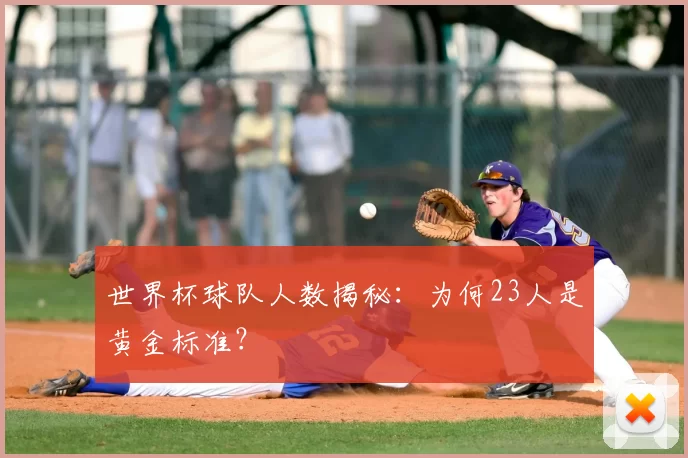 世界杯球队人数揭秘：为何23人是黄金标准？
