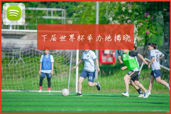 下届世界杯举办地揭晓