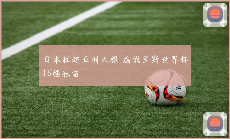 日本扛起亚洲大旗 成俄罗斯世界杯16强独苗