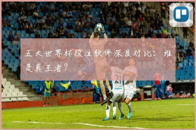 五大世界杯投注软件深度对比：谁是真王者？