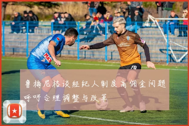 鲁梅尼格谈经纪人制度高佣金问题呼吁合理调整与改革