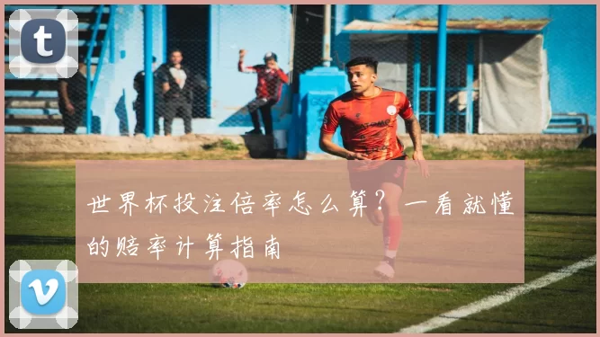 世界杯投注倍率怎么算?一看就懂的赔率计算指南