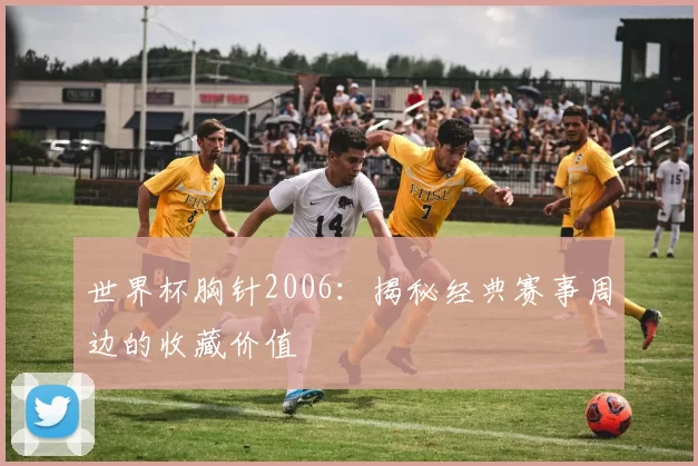 世界杯胸针2006:揭秘经典赛事周边的收藏价值