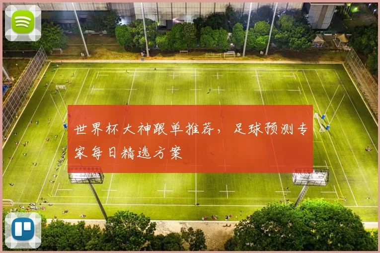 世界杯大神跟单推荐，足球预测专家每日精选方案