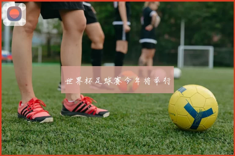世界杯足球赛今年将举行
