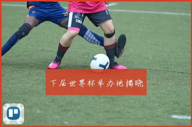 下届世界杯举办地揭晓
