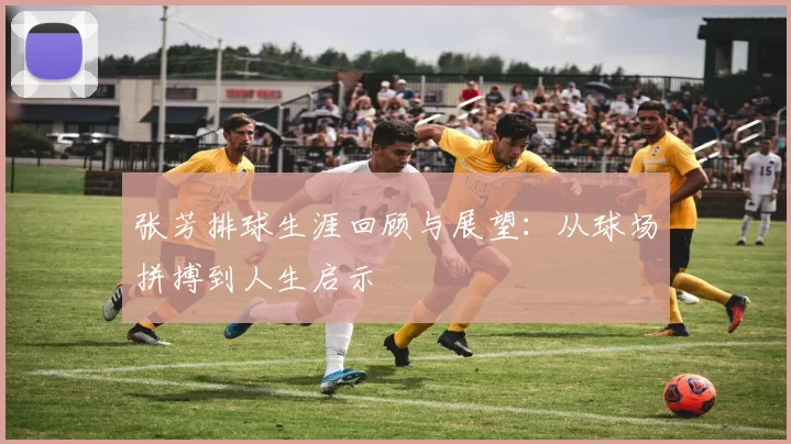张芳排球生涯回顾与展望：从球场拼搏到人生启示