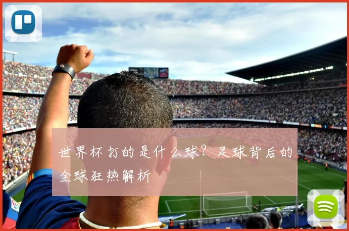 世界杯打的是什么球？足球背后的全球狂热解析