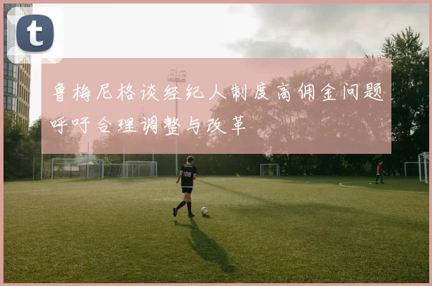鲁梅尼格谈经纪人制度高佣金问题呼吁合理调整与改革