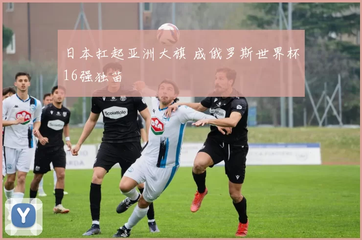 日本扛起亚洲大旗 成俄罗斯世界杯16强独苗