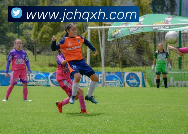 线上买球APP 封面图